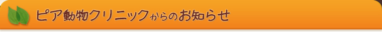 ピア動物クリニックからのお知らせ